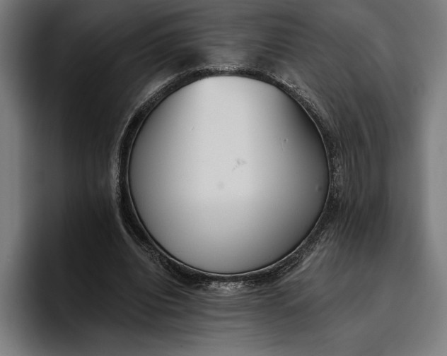 X0000096690440200802191431