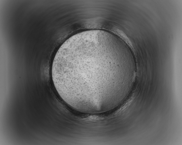 X0000096690441200802191431