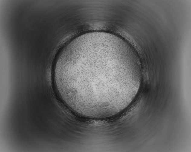 X0000096690442200802191431