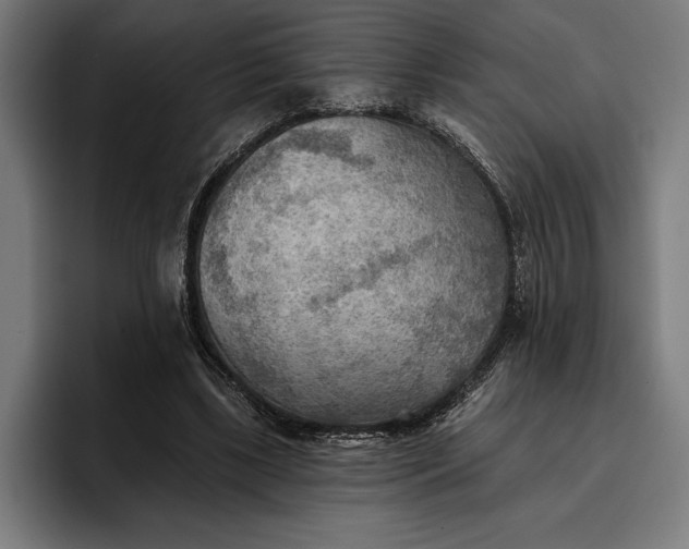 X0000096690443200802191431