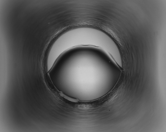 X0000096690444200802191431