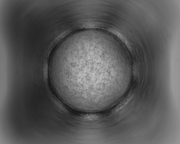 X0000096690445200802191431