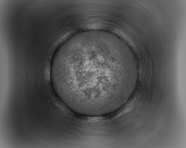 X0000096690446200802191431