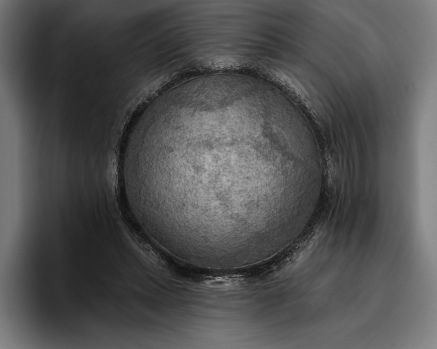 X0000096690447200802191431