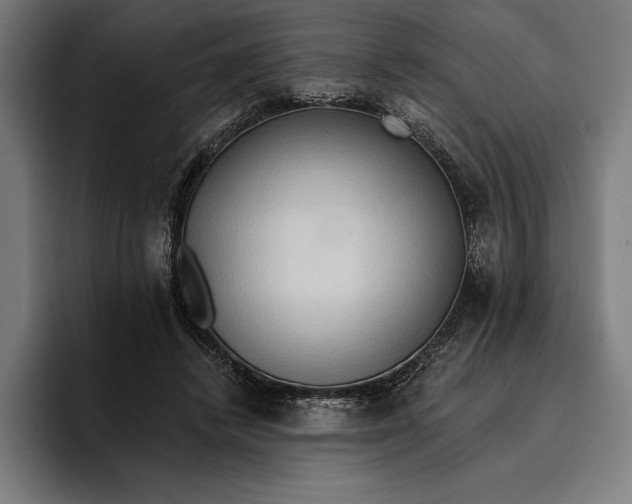 X0000096690448200802191431