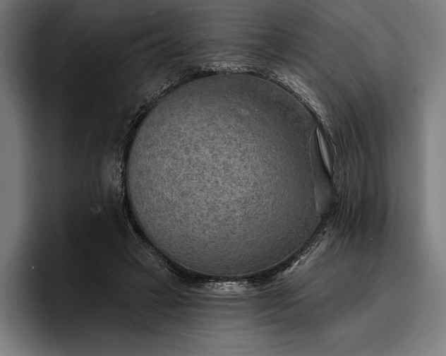 X0000096690449200802191431