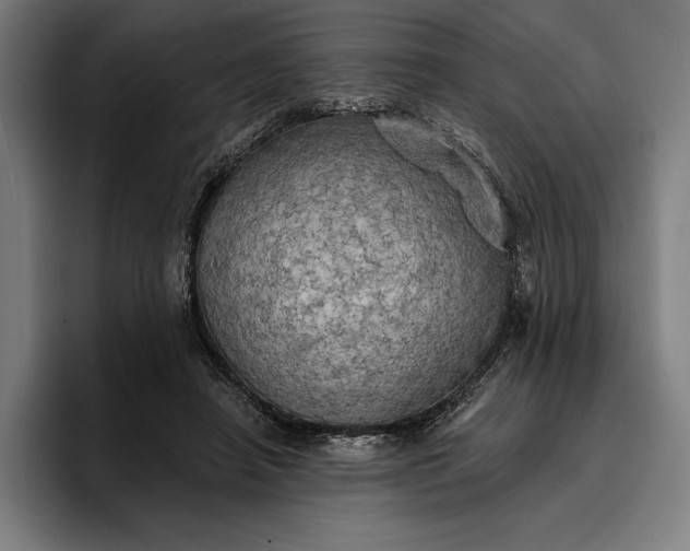 X0000096690450200802191431