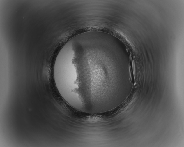 X0000096690451200802191431