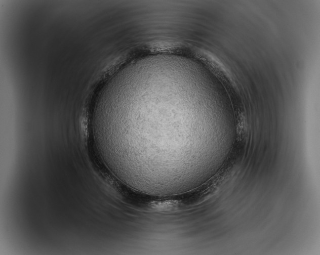 X0000096690452200802191431