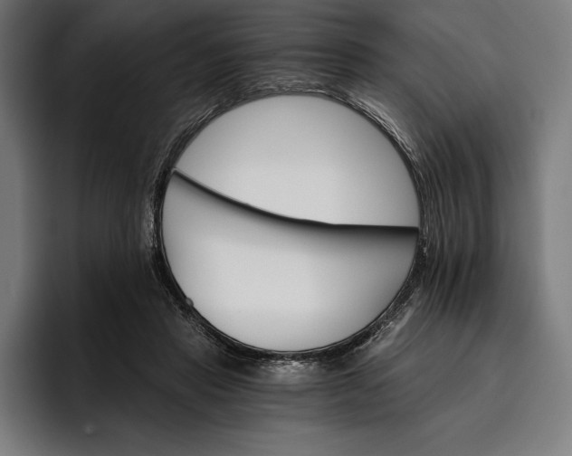 X0000096690453200802191431