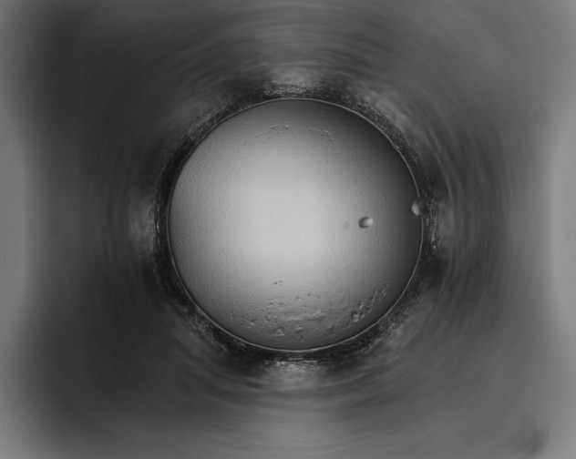 X0000096690455200802191431