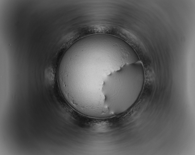 X0000096690456200802191431