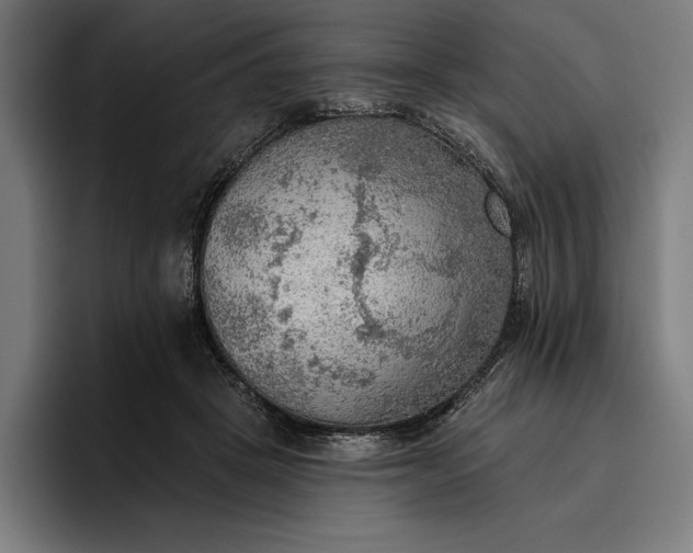 X0000096690457200802191431