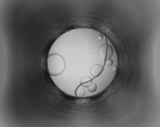 X0000096690465200802191431