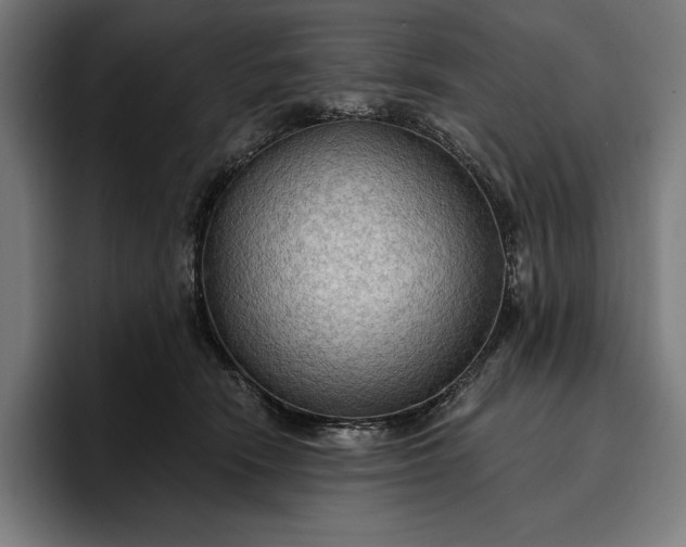 X0000096690466200802191432