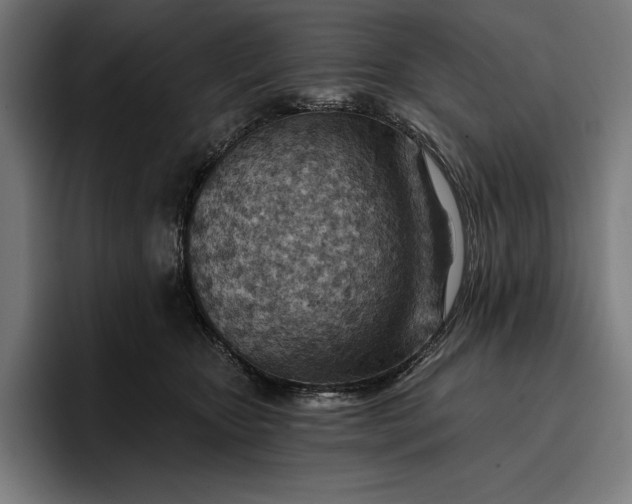 X0000096690467200802191432