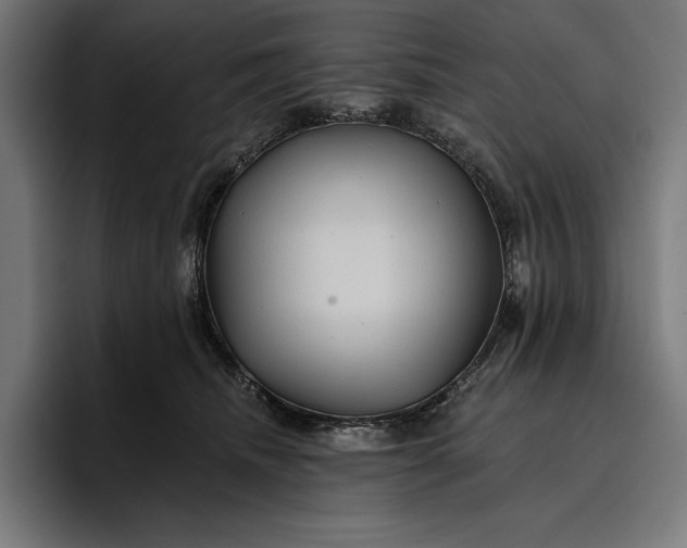 X0000096690468200802191432