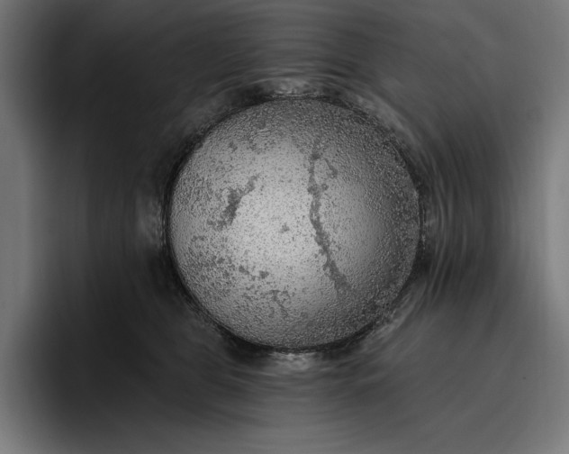 X0000096690469200802191432