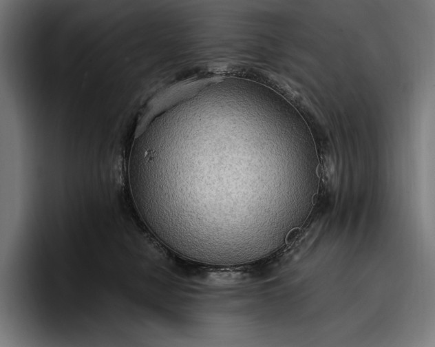 X0000096690470200802191432