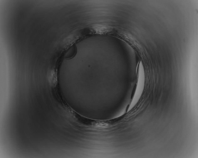 X0000096690471200802191432