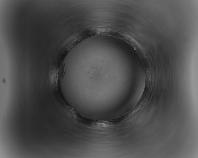 X0000096690475200802191432