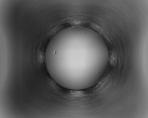 X0000096690476200802191432