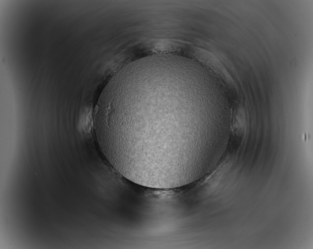 X0000096690478200802191432