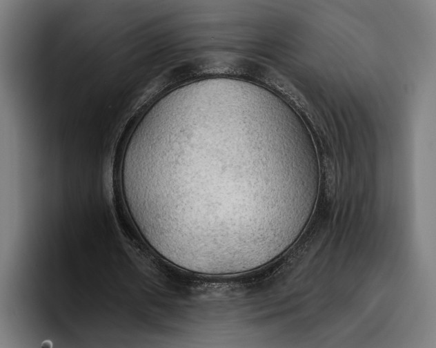 X0000096690482200802191431