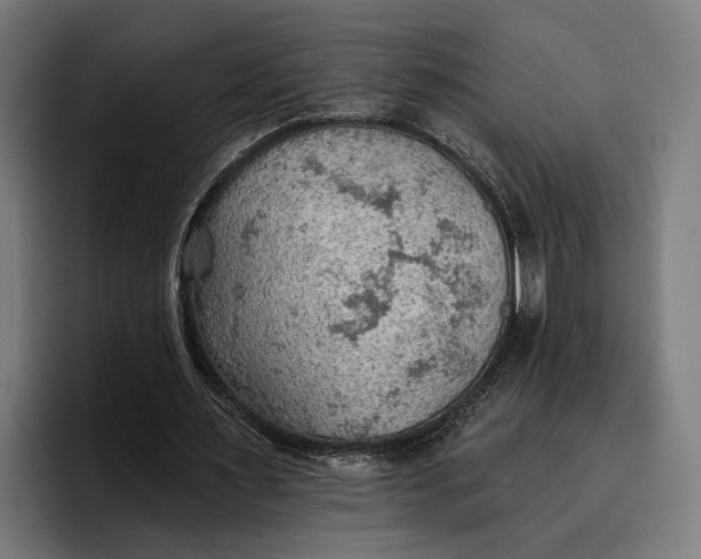 X0000096690483200802191431