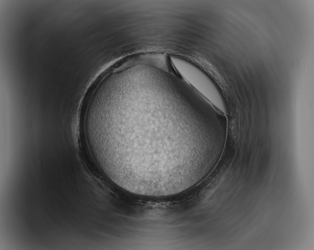 X0000096690484200802191431