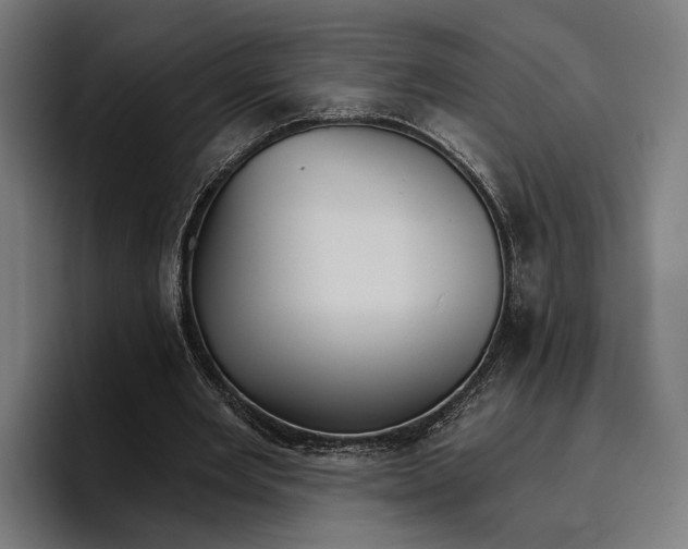 X0000096690485200802191431