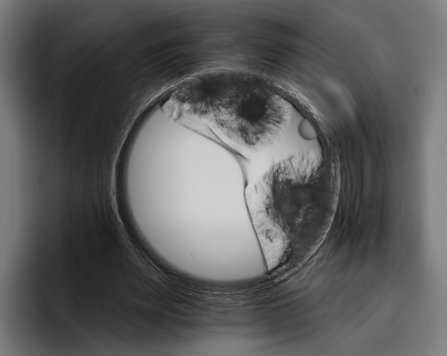 X0000096690487200802191431