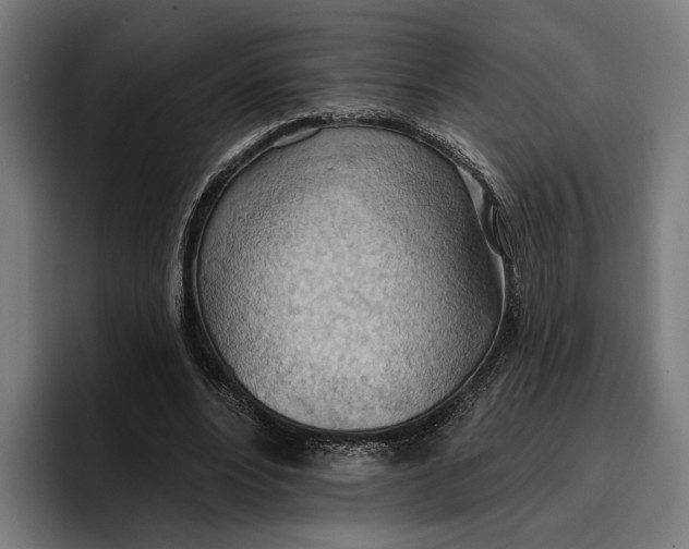 X0000096690488200802191431