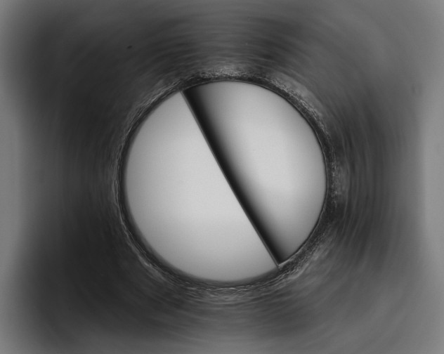 X0000096690489200802191431