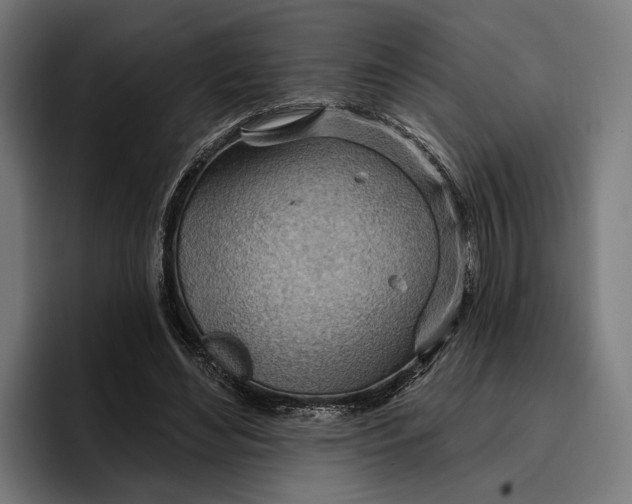 X0000096690492200802191431