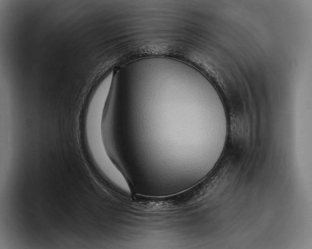 X0000096690493200802191431