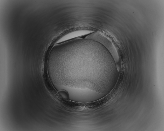 X0000096690496200802191431