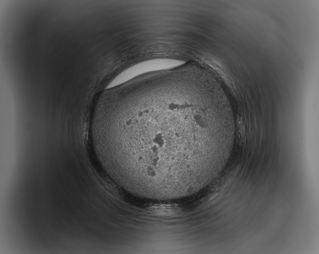 X0000096690499200802191431