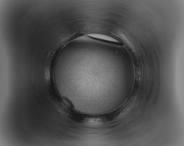 X0000096690500200802191431