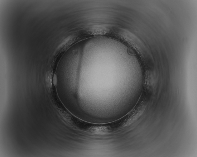 X0000096690501200802191431