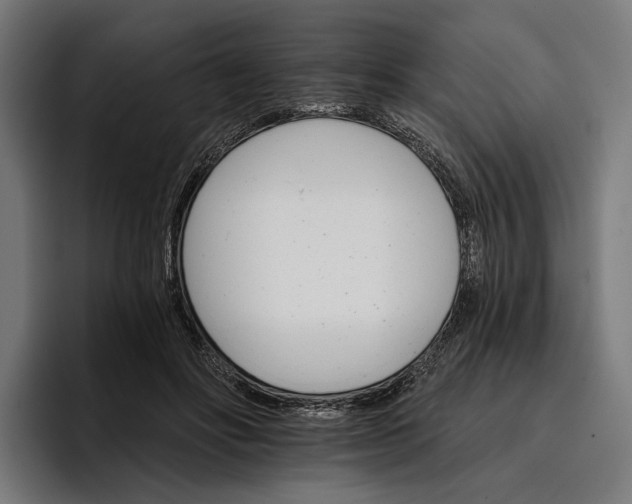 X0000096690502200802191431