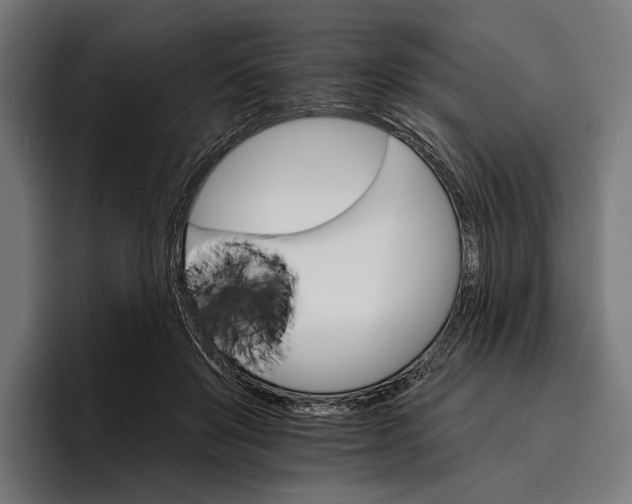 X0000096690503200802191431