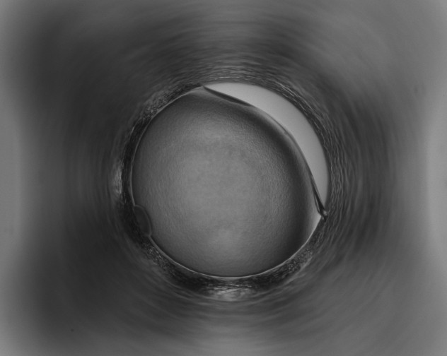 X0000096690504200802191431