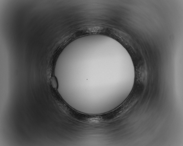 X0000096690505200802191431