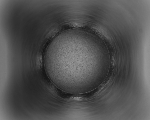 X0000096690506200802191431