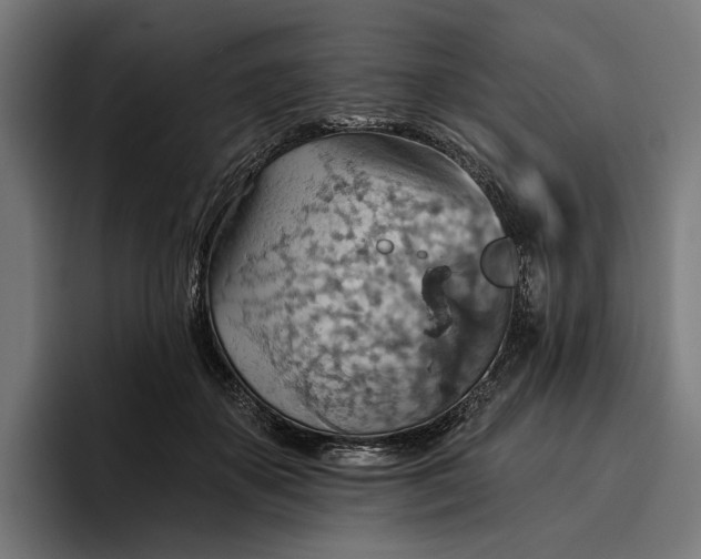 X0000096690507200802191431