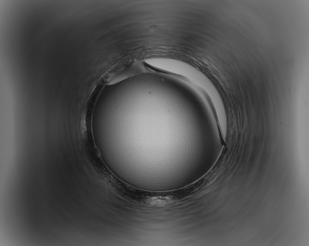 X0000096690508200802191431