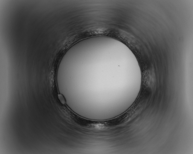 X0000096690509200802191431