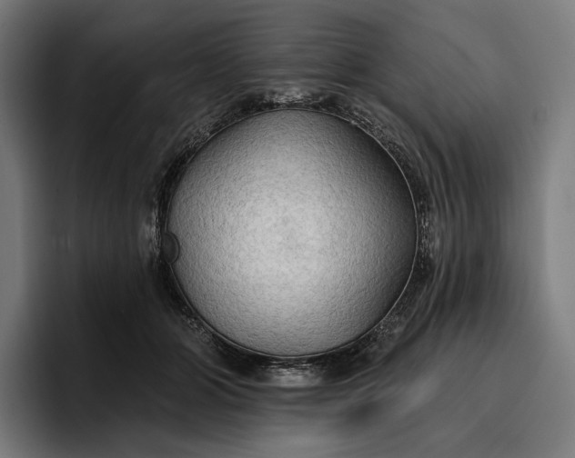 X0000096690510200802191431