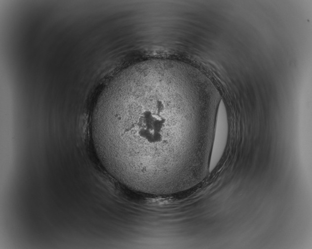 X0000096690511200802191431